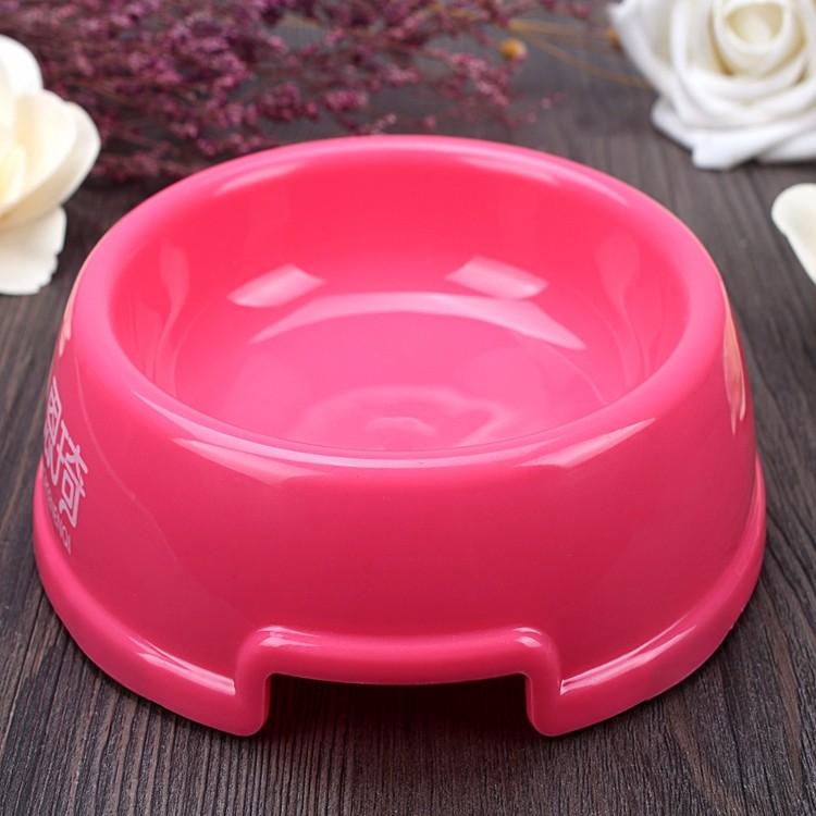 dog water bowl.JPG